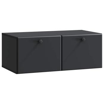 Wandmontierter TV-Schrank 78,5 x 41 x 30 cm Schwarz