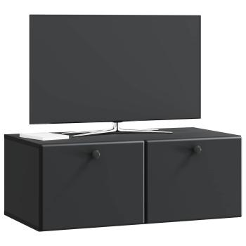 Wandmontierter TV-Schrank 78,5 x 41 x 30 cm Schwarz