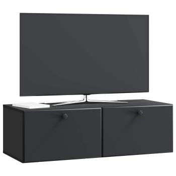 Wandmontierter TV-Schrank 98 x 41 x 30 cm Schwarz Holzwerkstoff