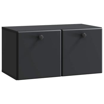 Wandmontierter TV-Schrank 59,5 x 31 x 30 cm Schwarz