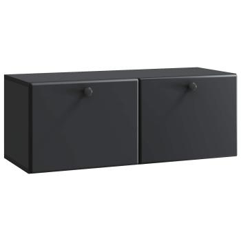Wandmontierter TV-Schrank 78,5 x 31 x 30 cm Schwarz