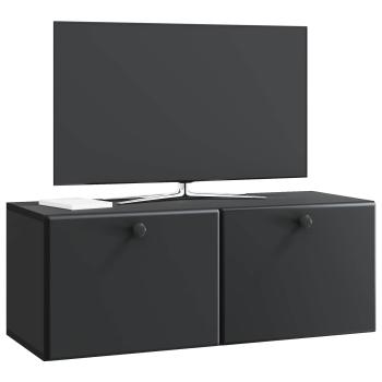 Wandmontierter TV-Schrank 78,5 x 31 x 30 cm Schwarz