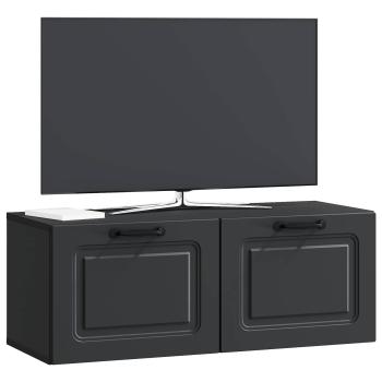 Wandmontierter TV-Schrank Schwarz 78,5 x 31 x 30 cm