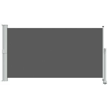 Seitenmarkise Anthrazit 160 x 300 cm Polyester Rechteckig