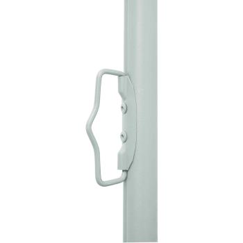 Ausziehbare Seitenmarkise 300 x 100 cm Polyester Rechteckig