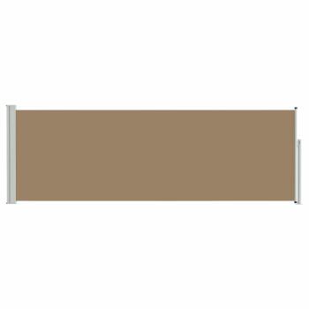 Ausziehbare Seitenmarkise 300 x 100 cm Polyester Rechteckig