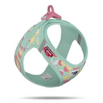 ARDEBO.de Curli Clasp Vest Geschirr LE26 FruitsTürkis 3XS