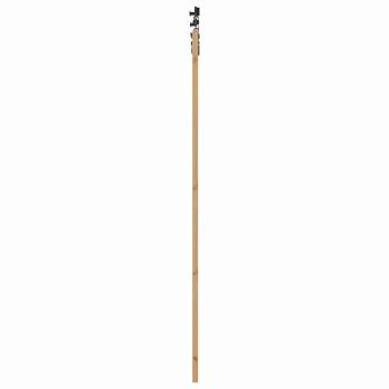 Schiebetür ORKDAL 93 x 232 cm Massivholz Kiefer und Glas