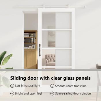 Schiebetür ORKDAL Weiß 93 x 211 cm Massivholz Kiefer und Glas