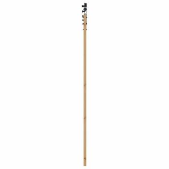Schiebetür Natur 86 x 211 cm Massives Kiefernholz