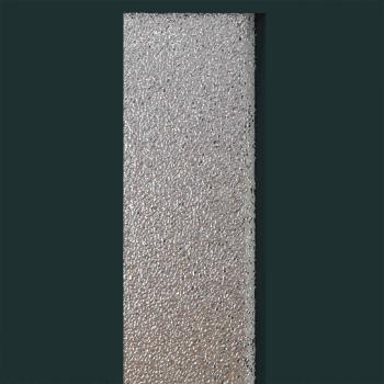 Vordertür 98 x 208 cm PVC Anthrazit