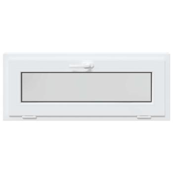 Kellerfenster RISOR 100 x 40 cm PVC und Glas