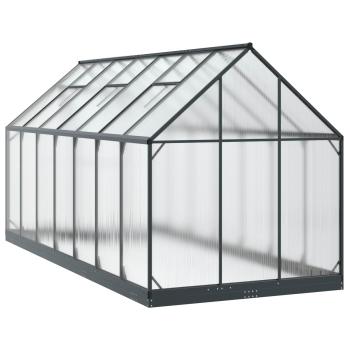 Garten Gewächshaus mit Tür Anthrazit 183,5 x 423,5 x 207 cm