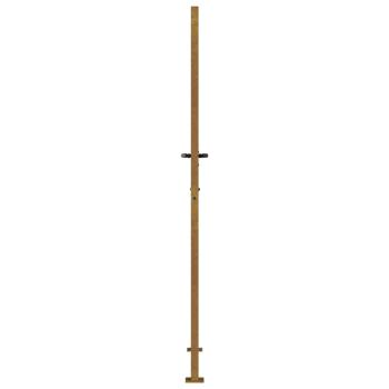 Gartentor 100x200 cm Cortenstahl
