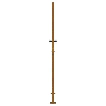 Gartentor 100x200 cm Cortenstahl