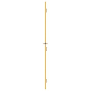 Innentür Schlank Golden 76x201,5 cm Hartglas und Aluminium