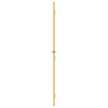 Innentür Schlank Golden 76x201,5 cm Hartglas und Aluminium
