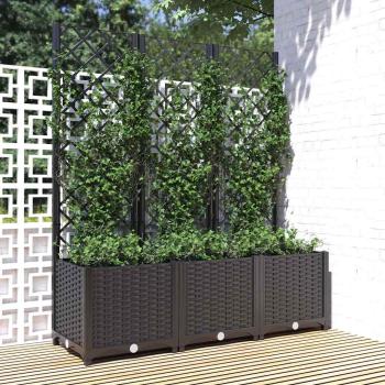 Garten-Pflanzgefäß mit Spalier Schwarz 120 x 40 x 136 cm PP