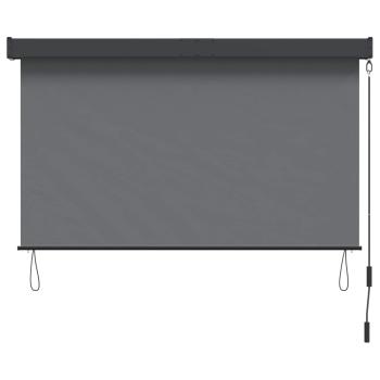 Rollo Hellgrau 120 x 250 cm Stoff und Aluminium