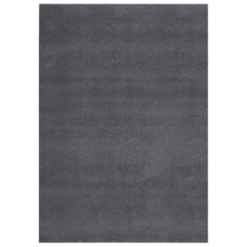 Teppich Waschbar Flauschig Kurzflor 160x230 Rutschfest Anthrazi