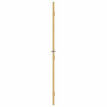 Innentür Schlank Golden 93x201,5 cm Hartglas und Aluminium