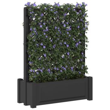 Großer Pflanzer mit Spalier Anthrazit 99,5 x 43 x 133,5 PP