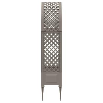 Rosenbogen mit Spitzen PP Grau