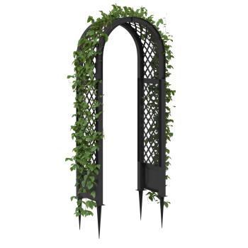 Rosenbogen mit Spitzen PP Anthrazit