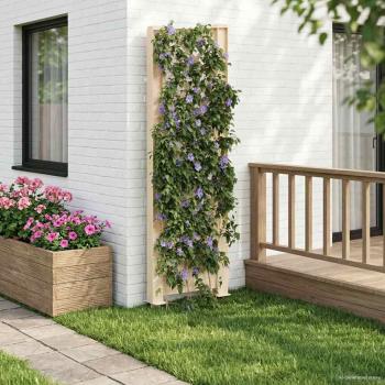 ARDEBO.de - Trellis mit Spike PP Weiß