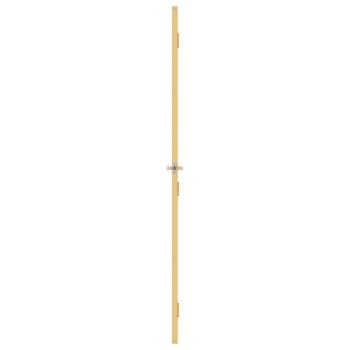 Innentür Schlank Golden 93x201,5 cm Hartglas und Aluminium