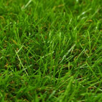 Kunstrasen 1x15 m/40 mm Grün
