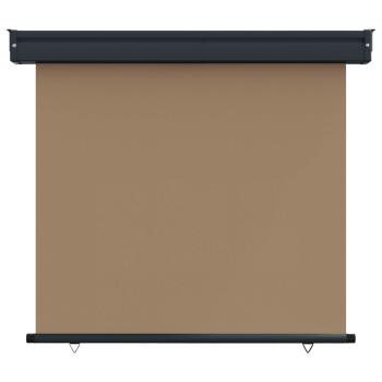 Balkon Seitenmarkise 60 x 250 cm 100% Polyester Eisen Stahl