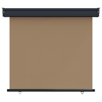 Balkon Seitenmarkise 80 x 250 cm 100% Polyester Eisen Stahl
