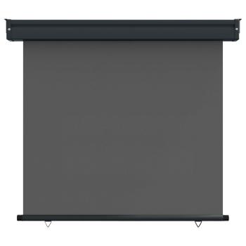 Balkon Seitenmarkise 80 x 250 cm 100% Polyester Eisen Stahl