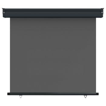 Balkon Seitenmarkise 100 x 250 cm 100% Polyester Eisen Stahl