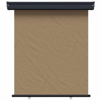 Balkon Seitenmarkise 117 x 250 cm 100% Polyester Eisen Stahl
