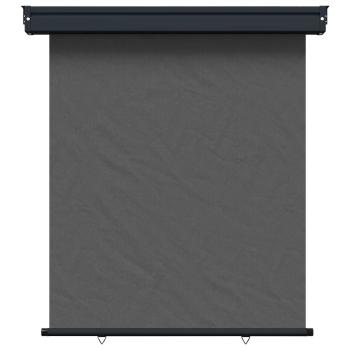 Balkon Seitenmarkise 117 x 250 cm 100% Polyester Eisen Stahl