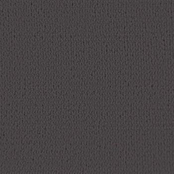 Balkonsichtschutz Anthrazit 75 x 700 cm HDPE und Aluminium