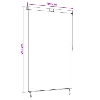 Rollo Mehrfarbig 100 x 250 cm Stoff und Aluminium