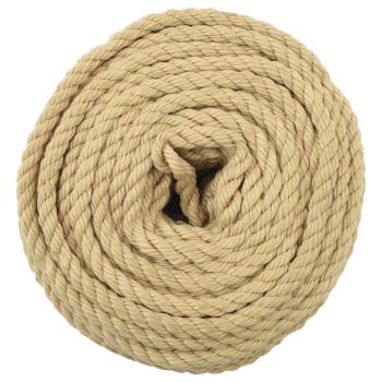Bootsseil 8 mm 25 m Natur