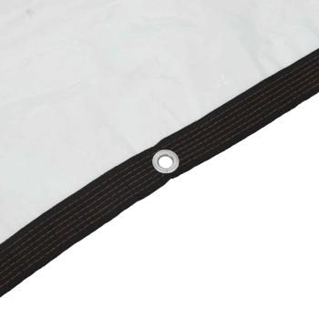 Planen Transparent 2.5 x 1,5 m PE