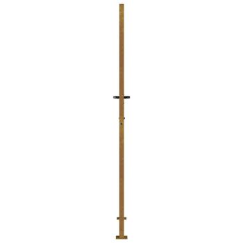 Gartentor 100x175 cm Cortenstahl Gras-Design