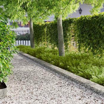 ARDEBO.de - Rasenkante 10 stk. 103 x 20 cm Stahl Silber