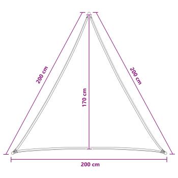 Sonnensegel Hellgrün 2 x 2 x 2 m HDPE