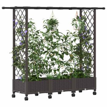 Hochbeet mit Rankgitter und Dach Braun 164 x 40 x 127 cm PP