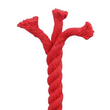 Baumwollseil 24 mm 50 m Rot 100% Baumwolle