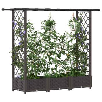 Hochbeet mit Rankgitter und Dach Braun 164 x 40 x 121 cm PP