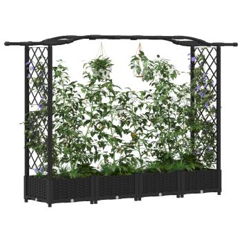 Hochbeet mit Rankgitter und Dach Schwarz 207 x 40 x 123 cm PP