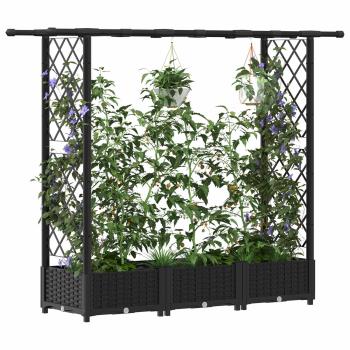 Hochbeet mit Rankgitter und Dach Schwarz 164 x 40 x 121 cm PP