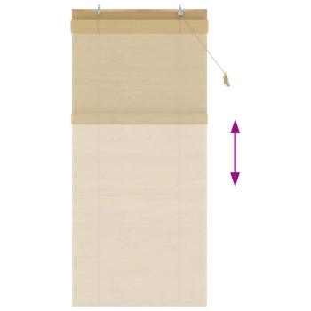 Rollo Natur 100 x 220 cm Bambus